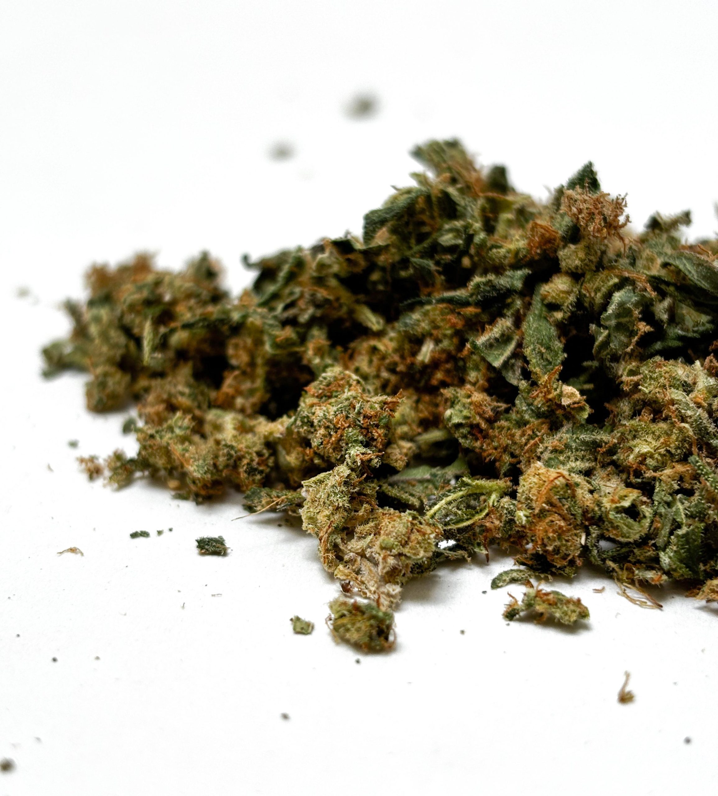 Trim de CBD indoor en vrac