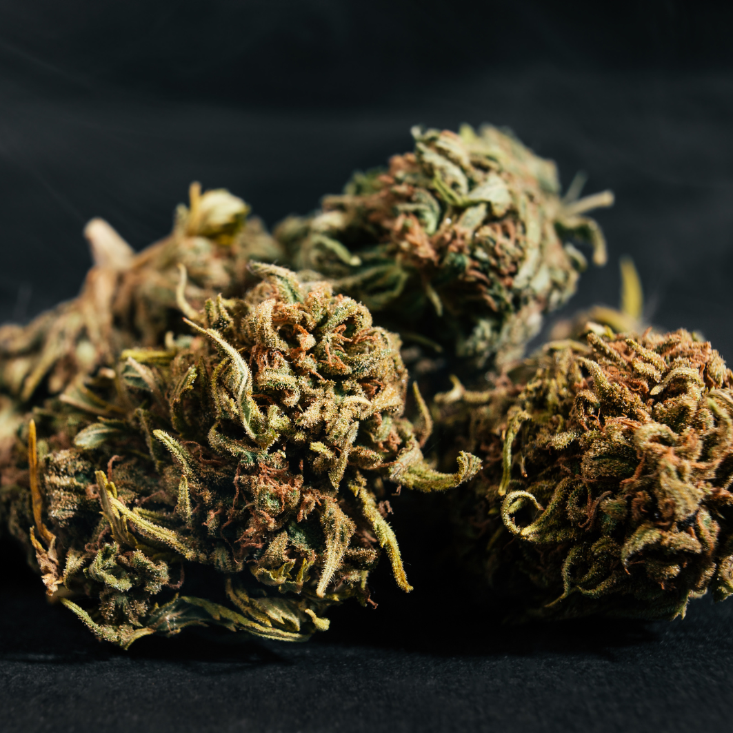 CBD Greenhouse Image