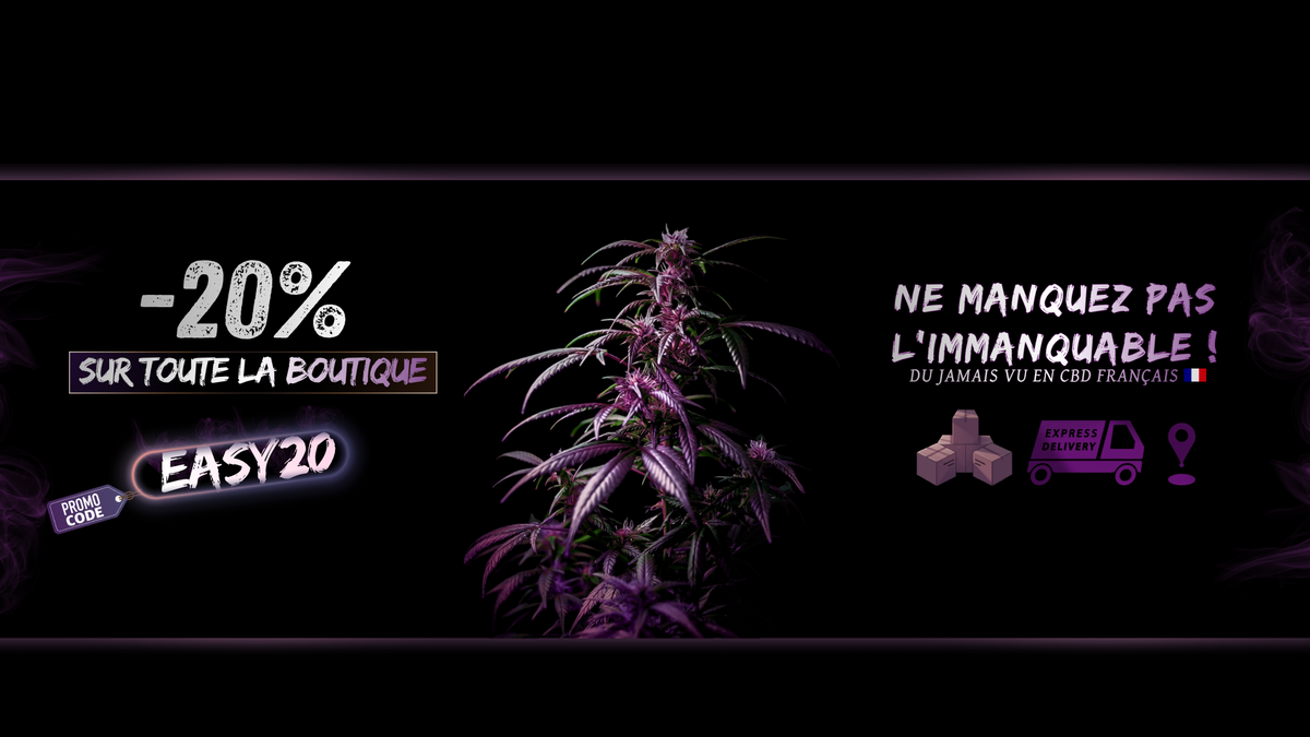 Bannière