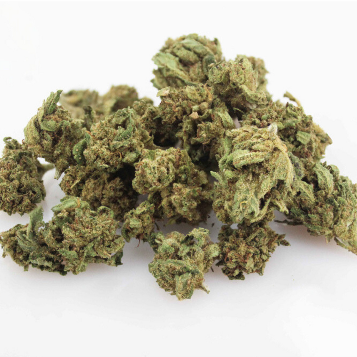 CBD SmallBud Deep Forest