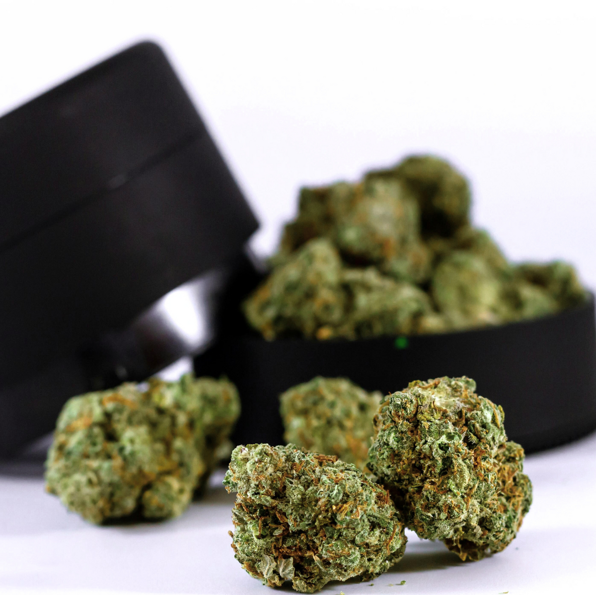 CBD SmallBud Jack Herrer