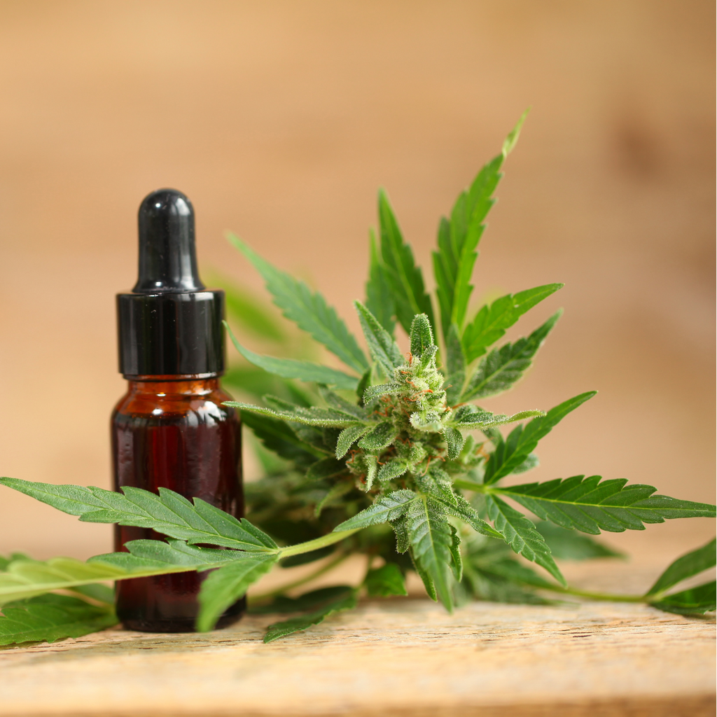 Huile CBD 10% Full Spectrum