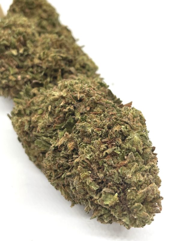 CBD Cheese Cake