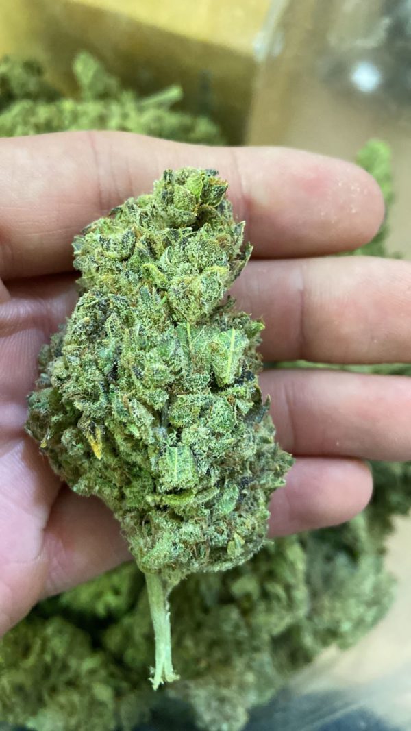 CBD Lemon Skunk indoor