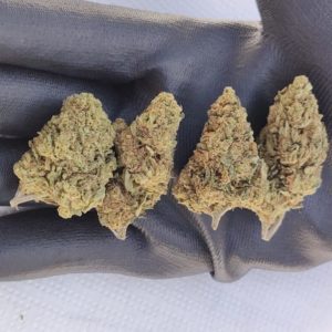 Fleur de CBD Rainbow