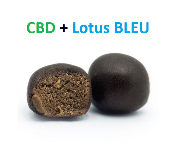 Hash CBD + Lotus Bleu