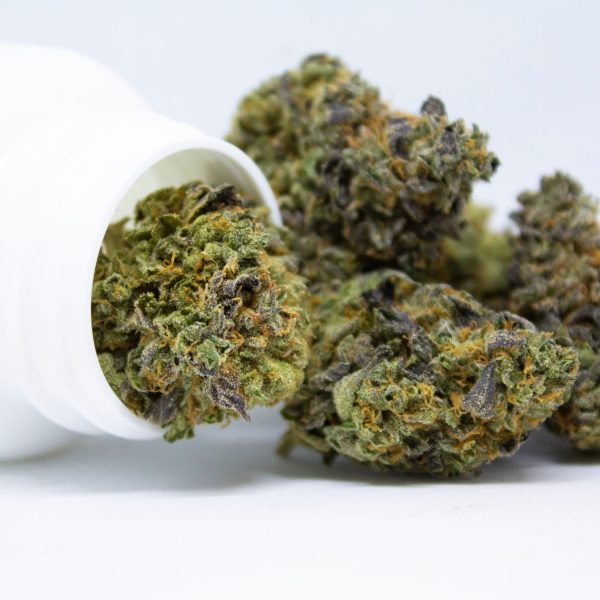 Medical,Marijuana,Bud.,Purple,Haze,Cannabis,Flower,Strain.,Indica,,Sativa,